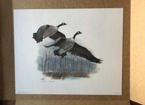 Canada 1986 Lithograph Print Canada Geese Don Balke Signed Framable L37