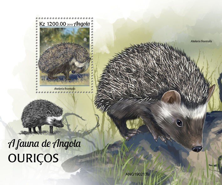 ANGOLA - 2019 - Fauna of Angola, Hedgehogs - Perf Souv Sheet - Mint Never Hinged