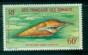 Somali Coast 1962 Marine Life, Shells 60f MLH