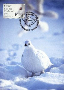 Finland 1143 maxicards maximum cards willow ptarmigan bird