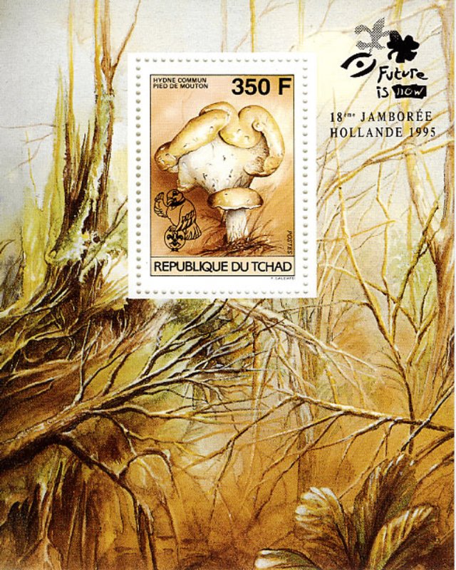 Chad 1995 Perf. 18th Jamborée Netherland /Mushrooms Luxury block No. 1265 / 1270-