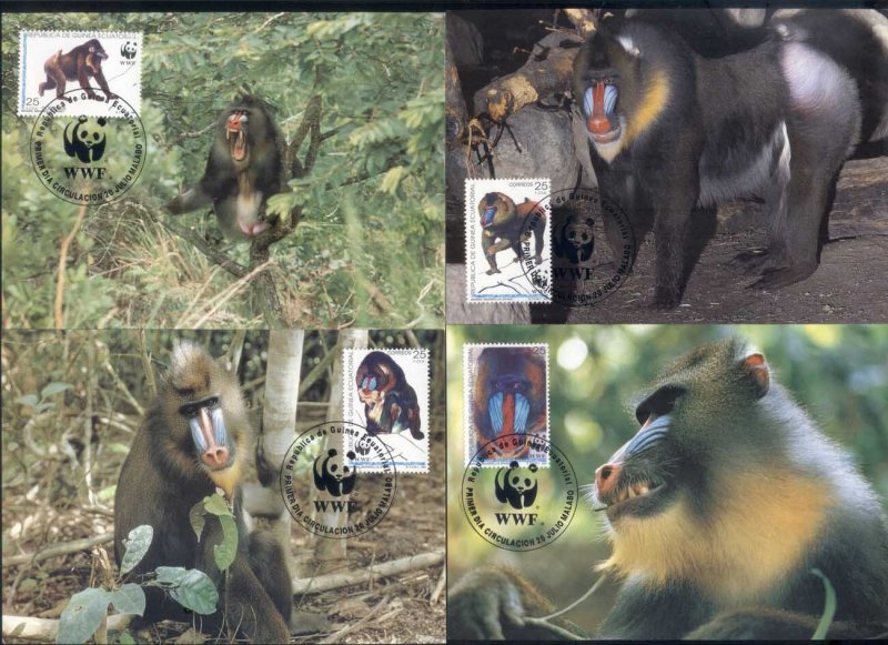 Equatorial Guinea 1991 WWF Mandrill Maxicard