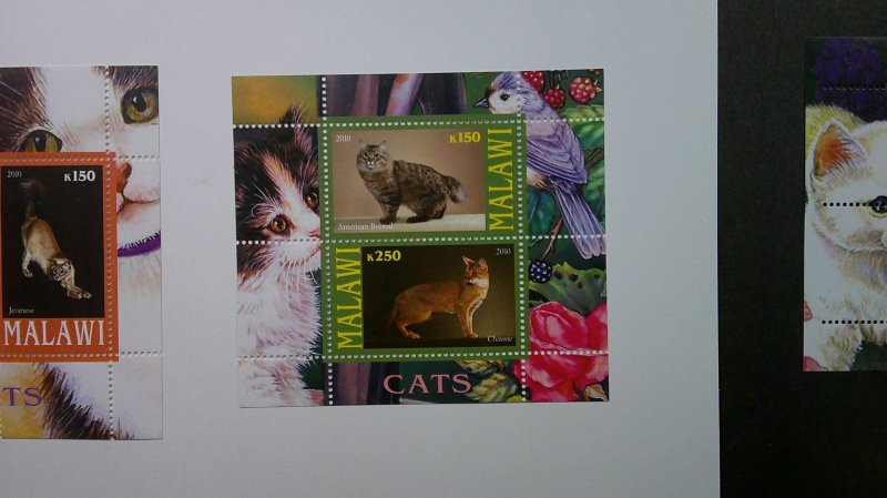 Malawi 2010 Outlaw Issue. Cats Souvenir Sheets, set of 3.  Not in Scott Catalog