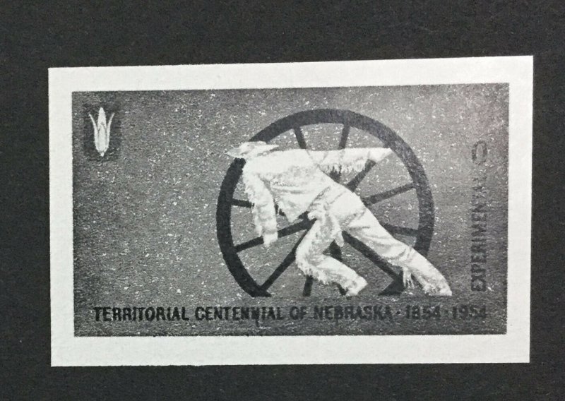 MOMEN: US #TD100 NEBRASKA TEST STAMP MINT OG NH #29565