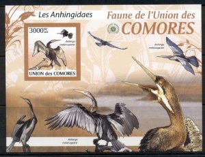 Comoro Is 2009 Birds, African darter, Cormorant MS IMPERF MUH