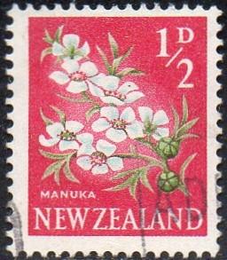 New Zealand 333 - Used - 1/2p Manuka Flower (1960)