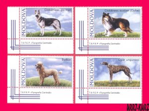 MOLDOVA 2006 Fauna Domestic Farm Animals Pets Dogs 4v Sc539-542 Mi565-568 MNH