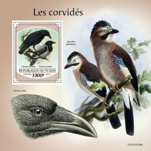 2021/09 - CHAD - CROWS                 1V complet set    MNH ** T