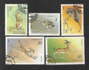 SD)1985 USSR  PROTECTED FAUNA, PAMIR SHREW, GERBO, DESERT DORMOUS, CARACAL, SA