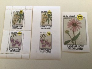 Holy Island Scotland Flowers mint never hinged stamps sheets Ref R49100