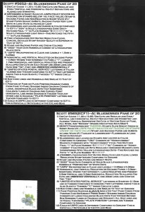 2022 CF Stamps Year Set-35  Issues With Descriptive Tabs For CF & Genuine