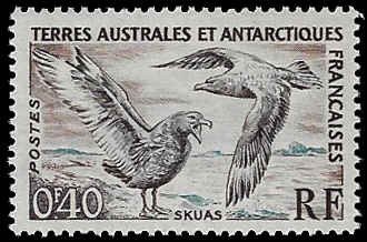 French Southern & Antarctic Territory #13 MNH; 40c Skuas - Birds (1959) (2)