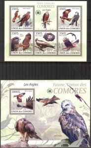 Comoro Islands 2009 Birds Eagles Sheet + S/S MNH