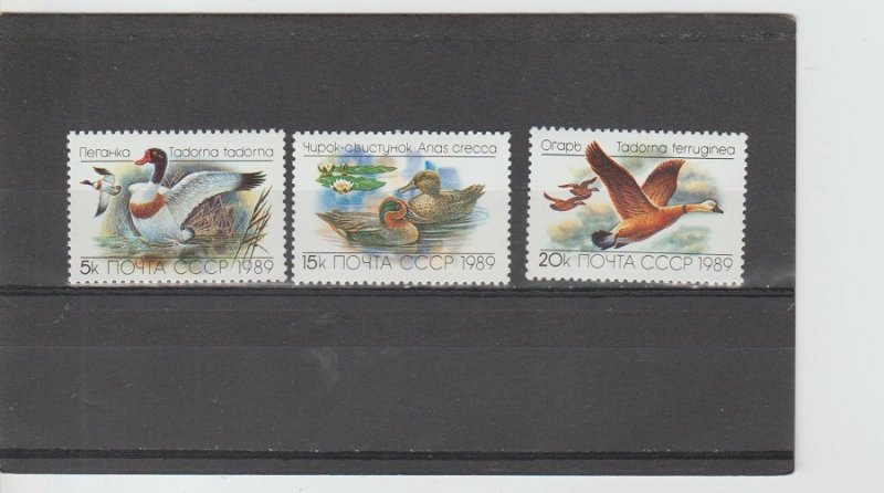 Russia  Scott#  5783-5785  MNH  (1989 Ducks)