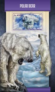 Sierra Leone 2018 MNH Polar Bear 1v S/S Wild Animals Bears Stamps