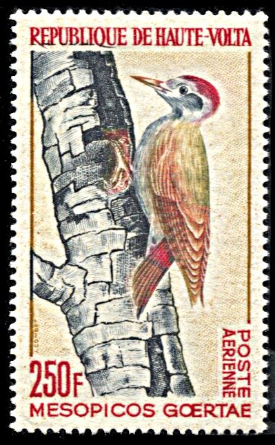 Upper Volta C18, MNH, West African Gray Woodpecker