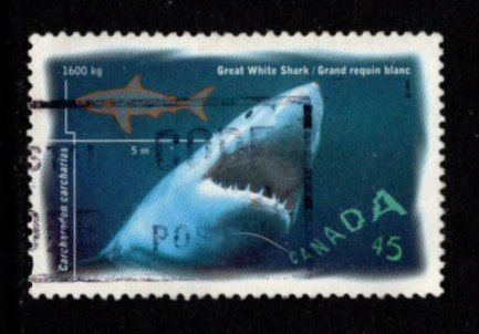 Canada - #1641 Great White Shark - Used