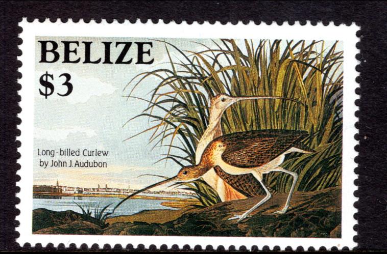 Belize 755 Bird MNH VF