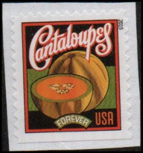 United States 5006 - Mint-NH - (49c) Seed Packets / Cantaloupe (2015) (cv $1.50)