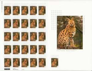 SERVAL CAT = Picture Postage Sheet 25+1 with ENLARGEMENT Canada 2014 MNH p72