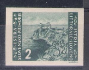 1946 LITORALE SLOVENO, no. 55a - 2L. Grey Green - Untoothed - MNH**