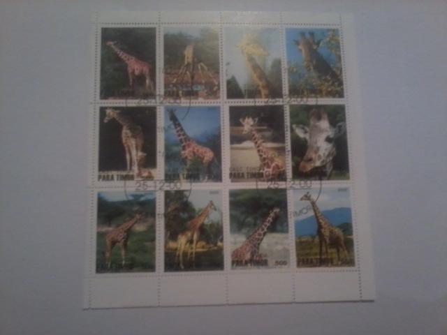 TIMOR SHEET USED GIRAFFES WILDLIFE