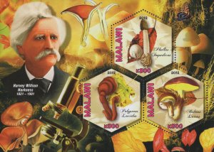 Mushrooms Mycologists Harvey Willson Harkness Sov. Sheet of 3 Stamps MNH