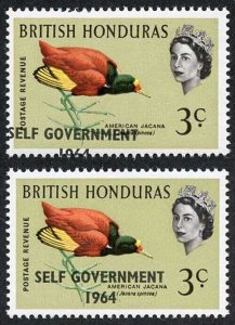 British Honduras SG218 3c with Self Government 1964 Overprint MISPLACED U/M