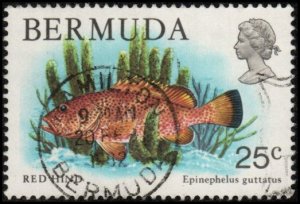Bermuda 372 -Used - 25c Red Hind (1979) (cv $0.65)