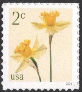 NEW ISSUE: 2¢ Daffodils Single (2024) SA