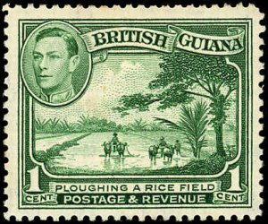 BRITISH GUIANA Sc 230 VF/MH - 1938 1¢ Rice Field - KGVI Pictorials