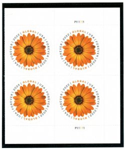 US  5680   African Daisy - Right Global Forever Plate Block of 4 -  MNH  - 2022