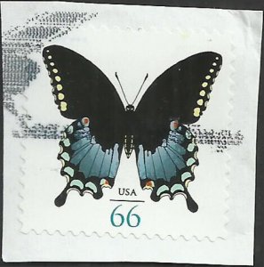 # 4736 USED SPICEBUSH SWALLOWTAIL