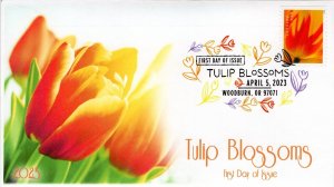 23-077, 2023, Tulip Blossoms, First Day Cover, Digital Color Postmark, Wooburn O