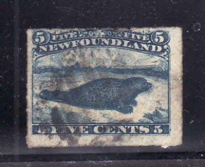 Newfoundland-Sc#40- id11-used 5c blue Harp seal-1876-Imprint on side margin-
