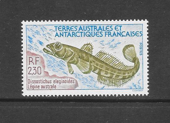 FISH - FRENCH SOUTHERN ANTARCTIC TERRITORIES #168   MNH