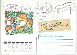 MUSHROOMS - POSTAL STATIONERY COVER : Belarus 1994