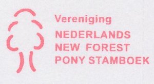 Meter Proof / Test strip FRAMA supplier Netherlands New Forest Studbook - Horse