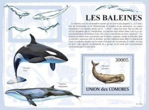 COMORES 2009 SHEET WHALES LES BALEINES BALLENAS BALEIAS MARINE LIFE cm9119b