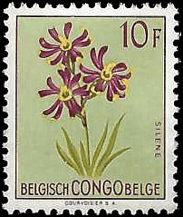 BELGIAN CONGO   #281 MH (1)