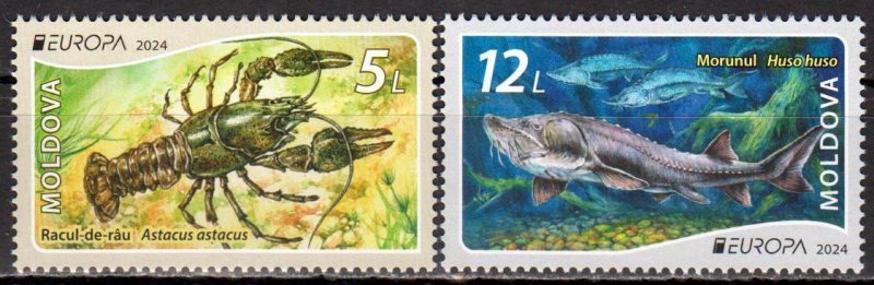 Moldova / Moldavië - Postfris/MNH - Complete set Europa, Underwater World 2024