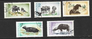 ALBANIA - 1965 WATER BUFFALO - SCOTT 796 TO 800 - USED