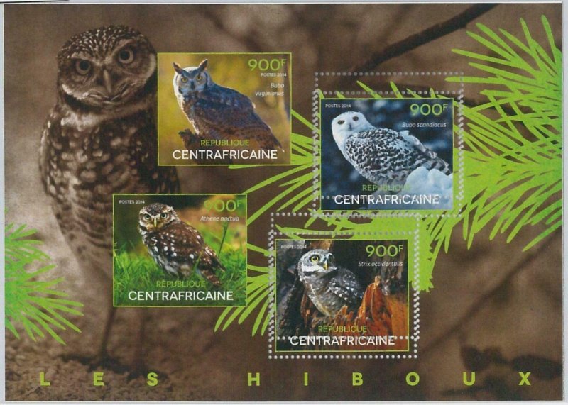 865 - CENTRAL AFRICAN - ERROR - MISSPERF Stamp sheet  2014  Owls BIRDS