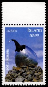 1993, Iceland 55Kr, MNH, Sc 771