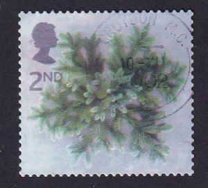 Great Britain  #2081  used 2002  Christmas spruce branches  2nd