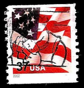# 3631 USED FLAG