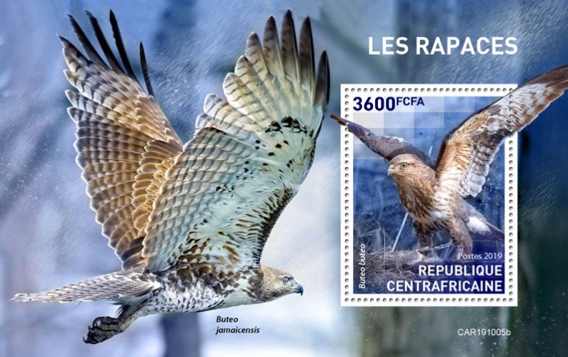 CENTRAL AFRICAN REP. (CENTRAFRIQUE) / 2019 Birds of prey. BLOK.