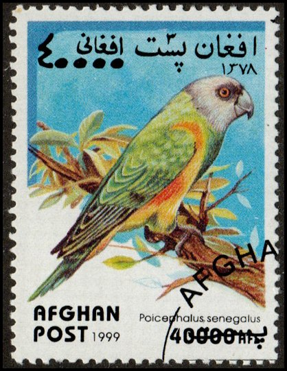 Afghanistan sw1960 - Cto - 40,000a Senegal Parrot (Cinderella) (1999)