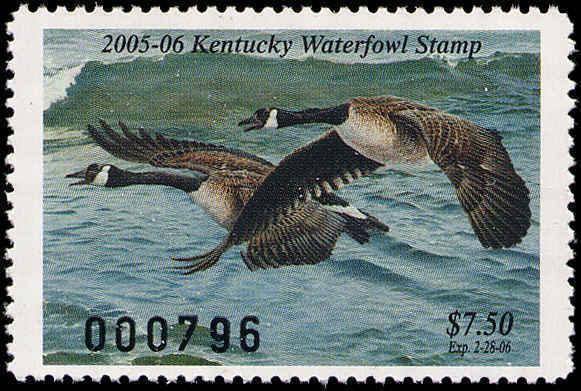 KENTUCKY #21 2005  STATE DUCK STAMP CANADA GEESE