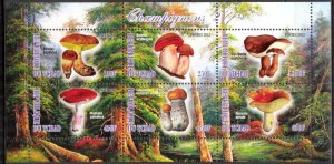 Chad 2012 Mushrooms (2) MNH Cinderella !